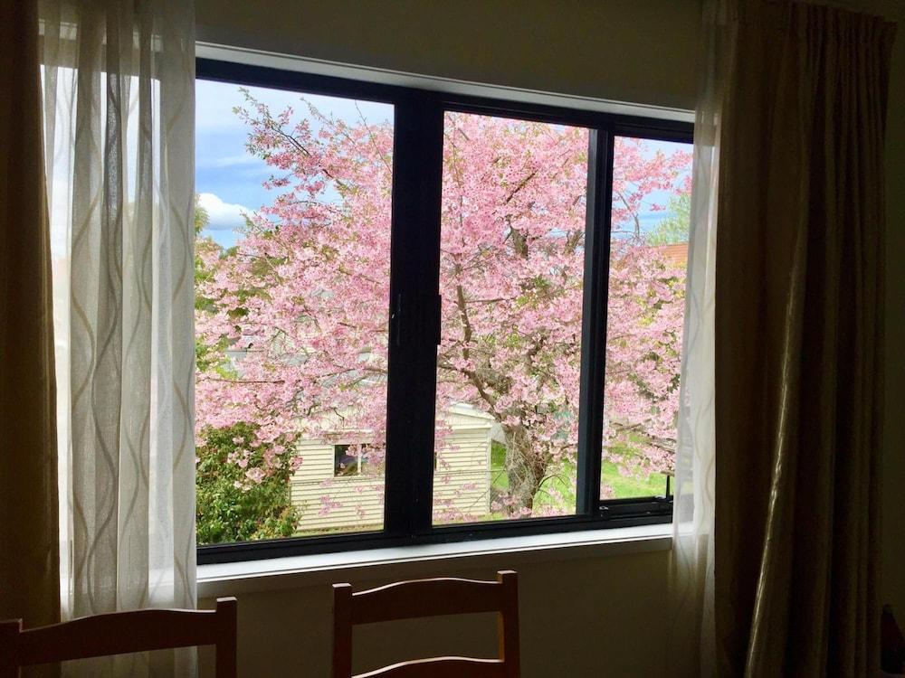 Royal Park Lodge Auckland Ngoại thất bức ảnh